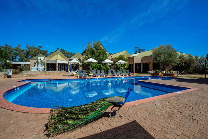 Exploring Accommodation Choices in Alice Springs: Your Gateway to the Outback