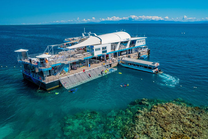 Cairns One-Day Itinerary: Great Barrier Reef, Rainforest, and Tropical Beaches